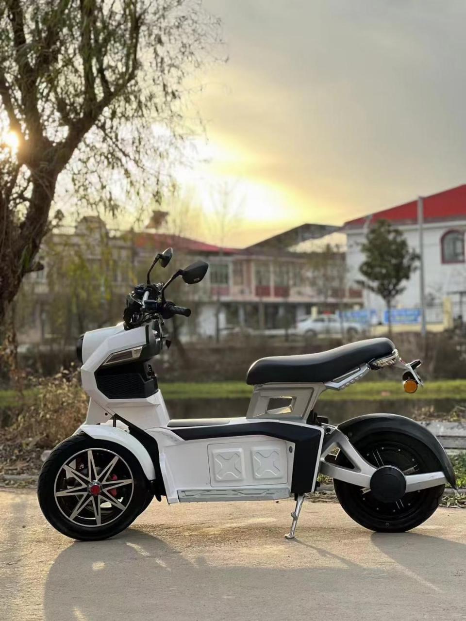 逗哈牌电动倒三轮,经典航空铝车身,前置独.