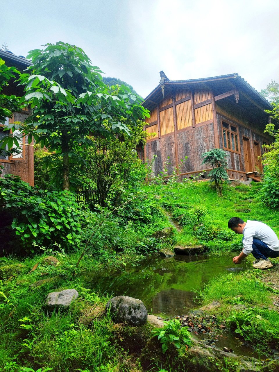 舒哥的农家乐——龙苍沟农家乐的天花板          夏天去雅安龙苍沟