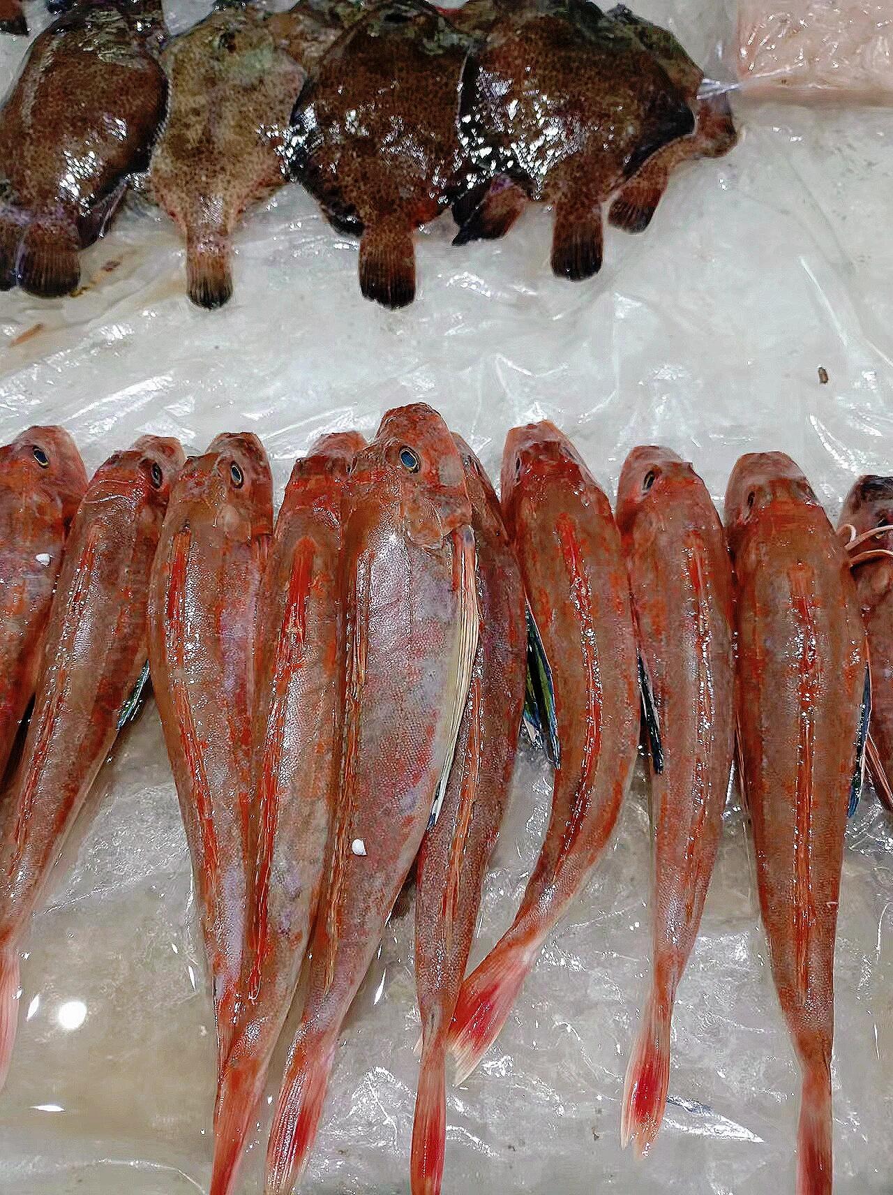 鱼肉入药,性平味甘,归脾,胃经,健脾开胃,滋补强身,主治食少,体虚等