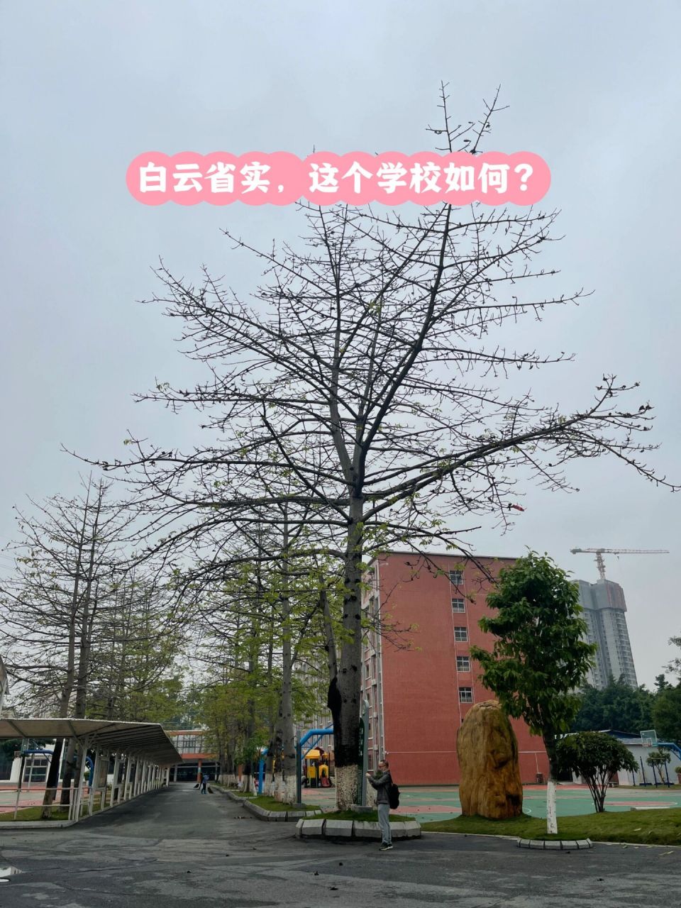 白云省实,这学校如何?