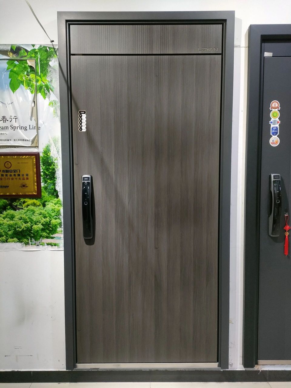 龙阳十大品牌防盗门