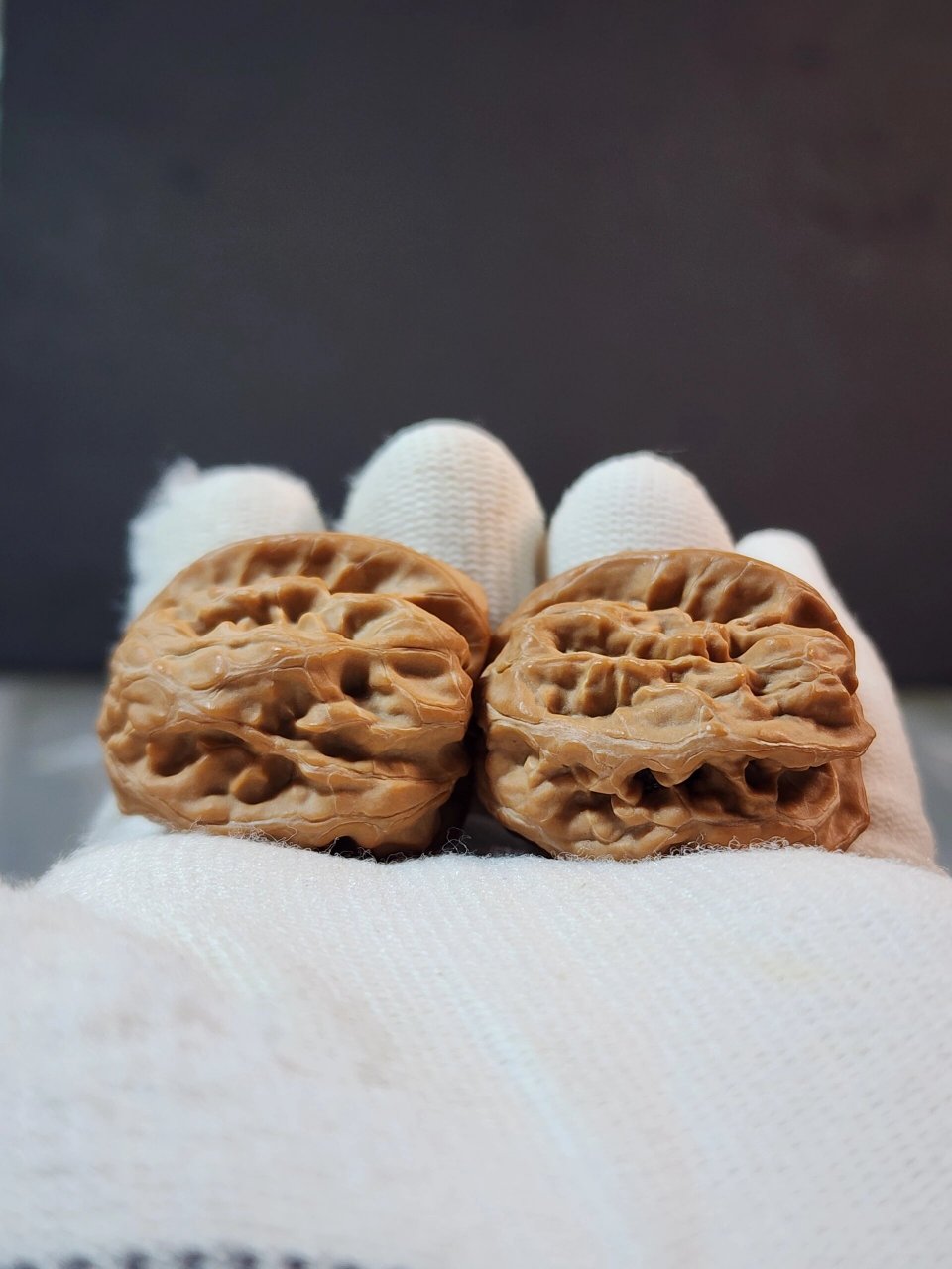 平谷方块核桃原树带证书全品 40尺寸高货欣赏