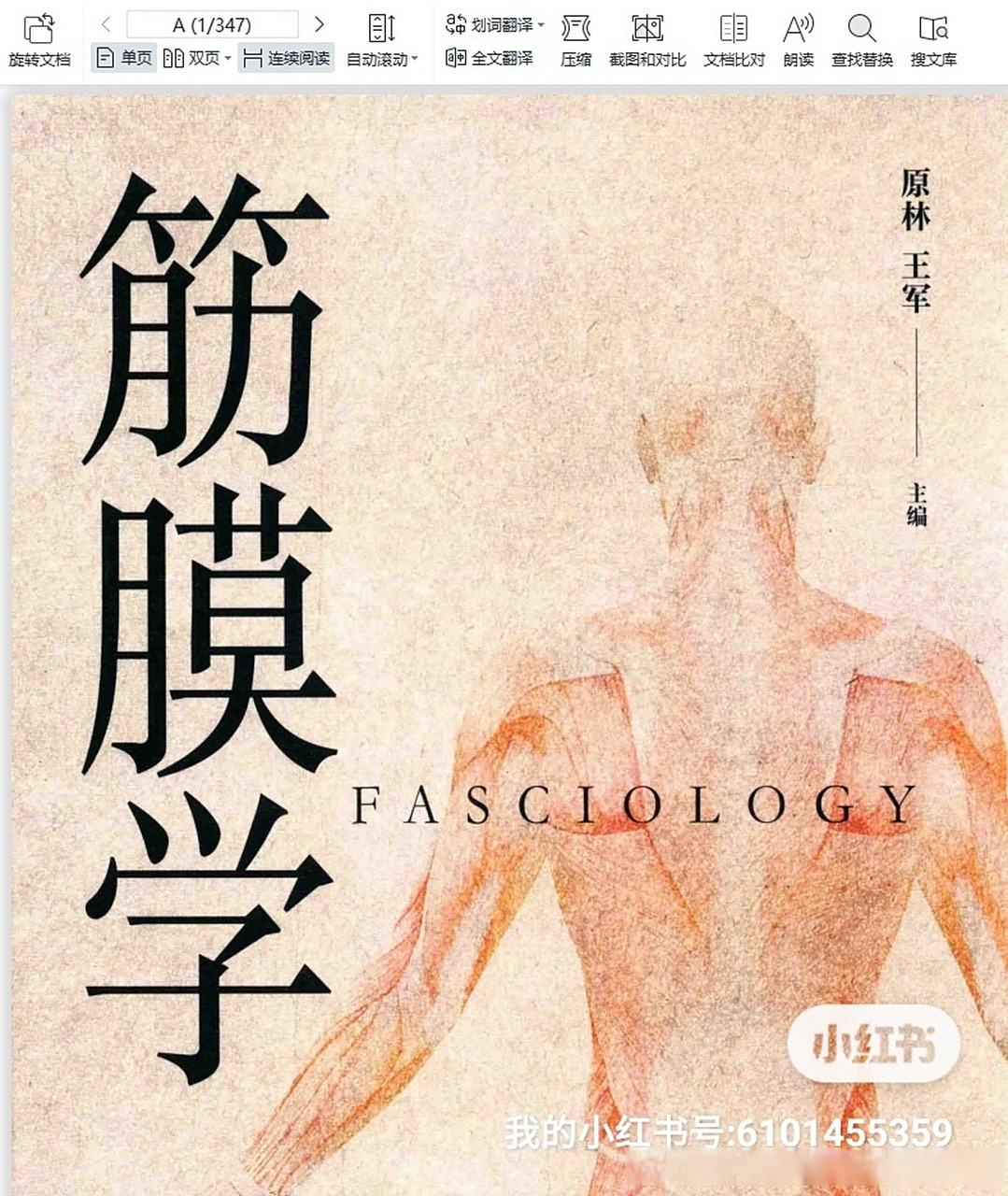 【中文更新】筋膜学