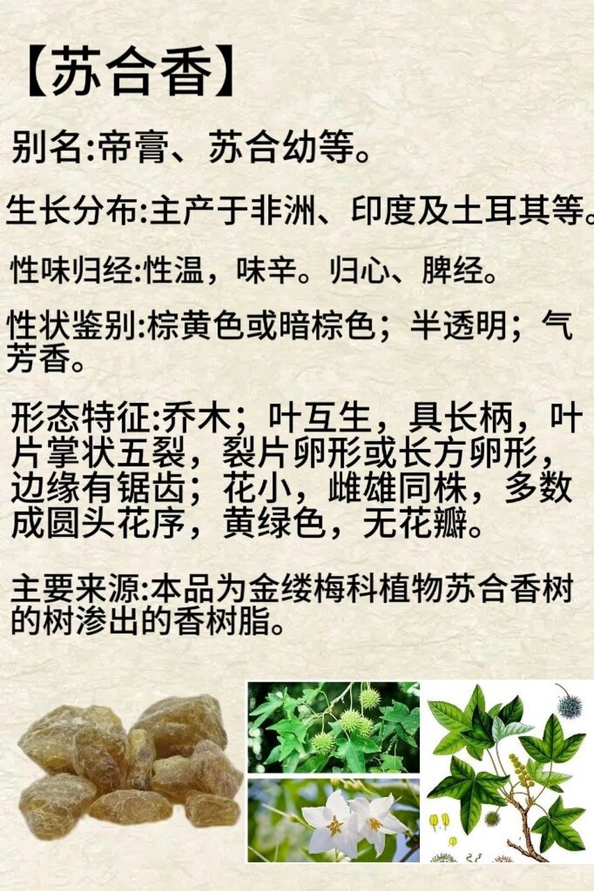 每天认识一味中草药【苏合香】 别名:帝膏,苏合幼等.