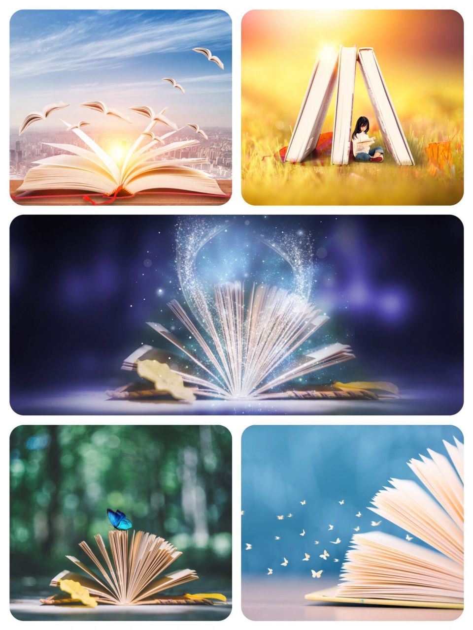 背景图|梦幻书香9898 俗话说"书中自有黄金屋,书中自有颜如玉"