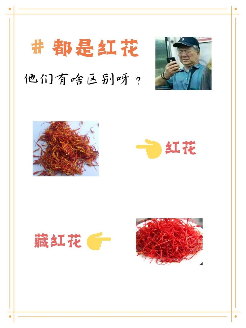 都是红花,藏红花和红花有啥区别呀?