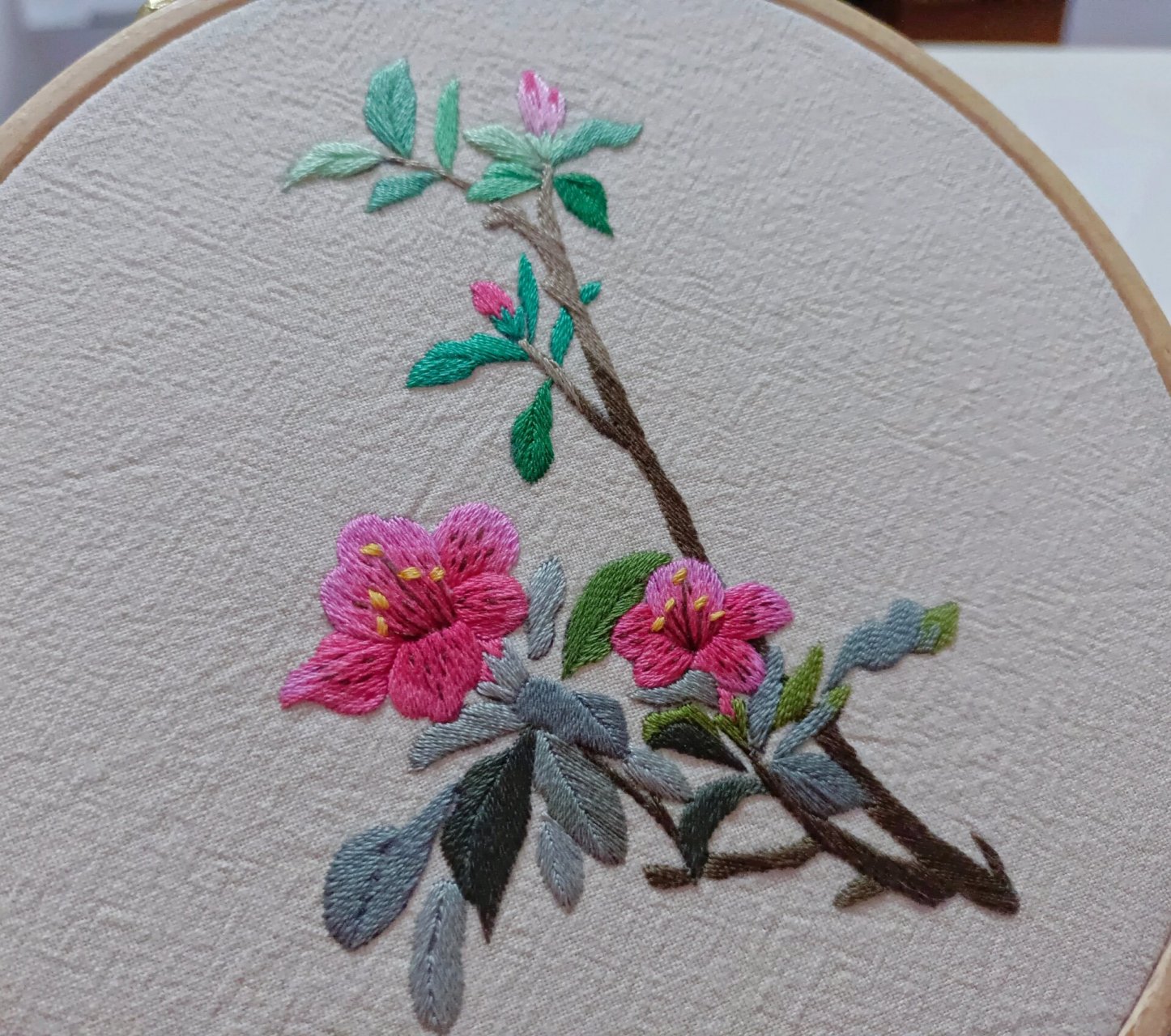 刺绣杜鹃花, 杜鹃,又名红踯躅,映山红.