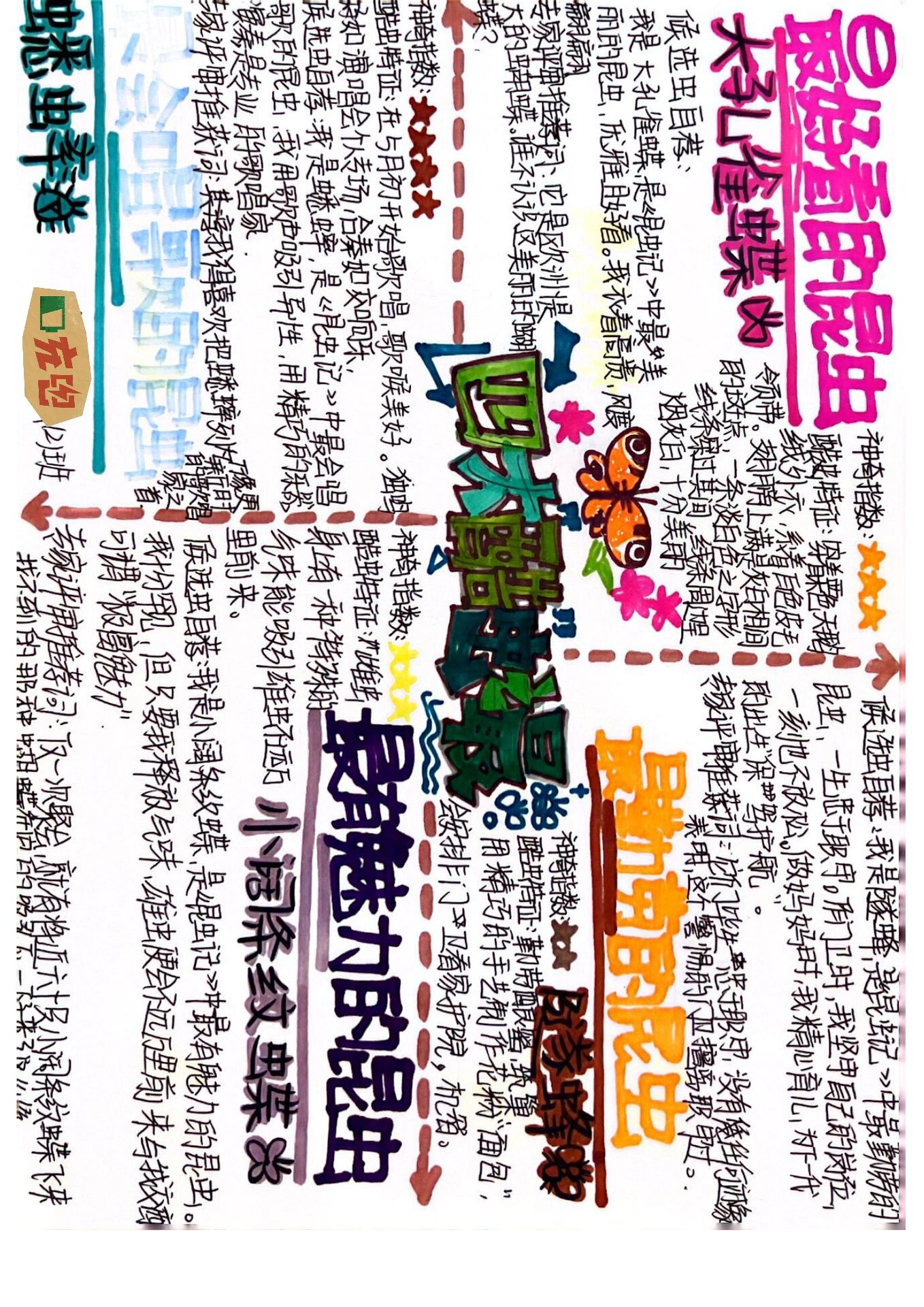《昆虫记》学生作业