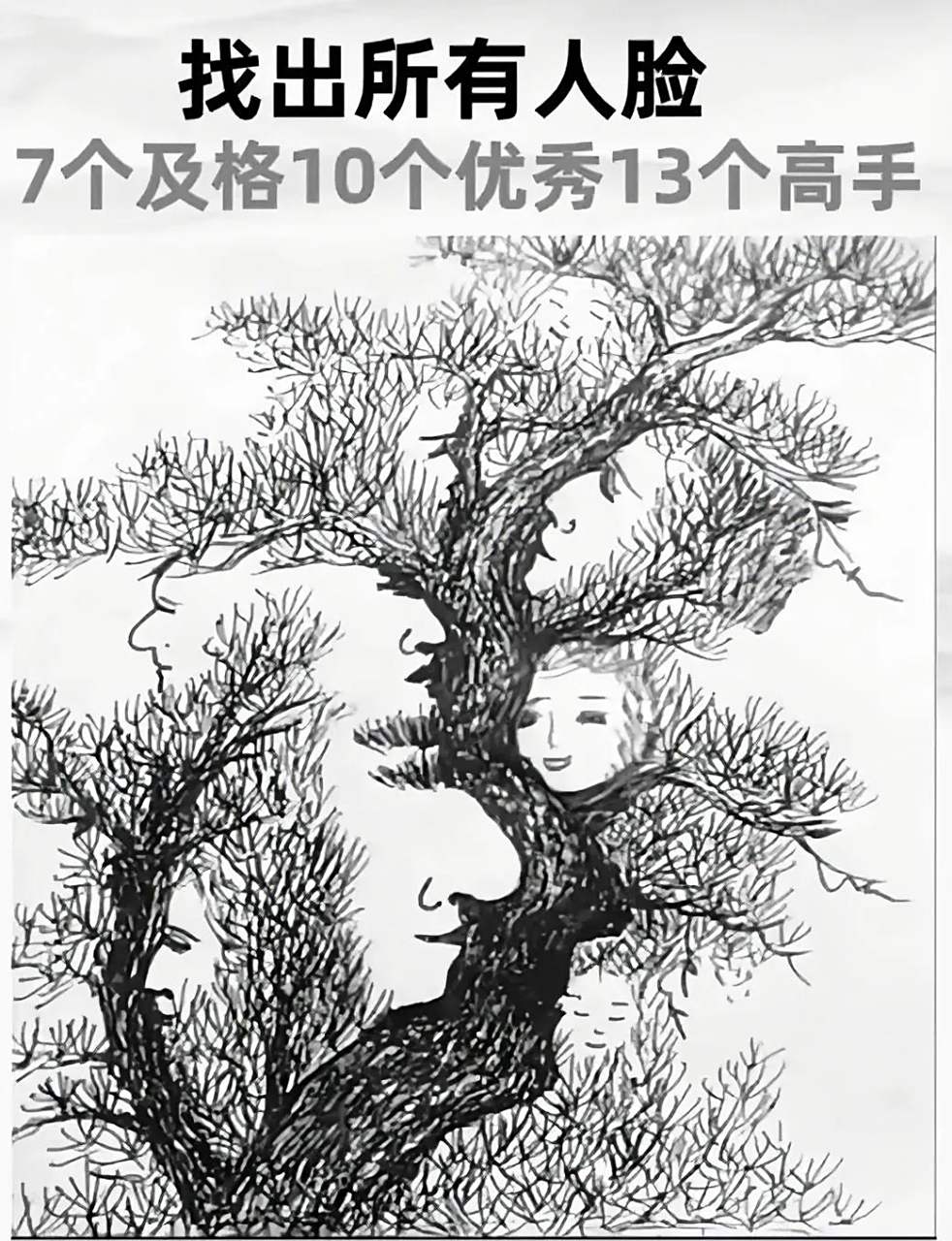 只有1%的人能找到13张人脸!