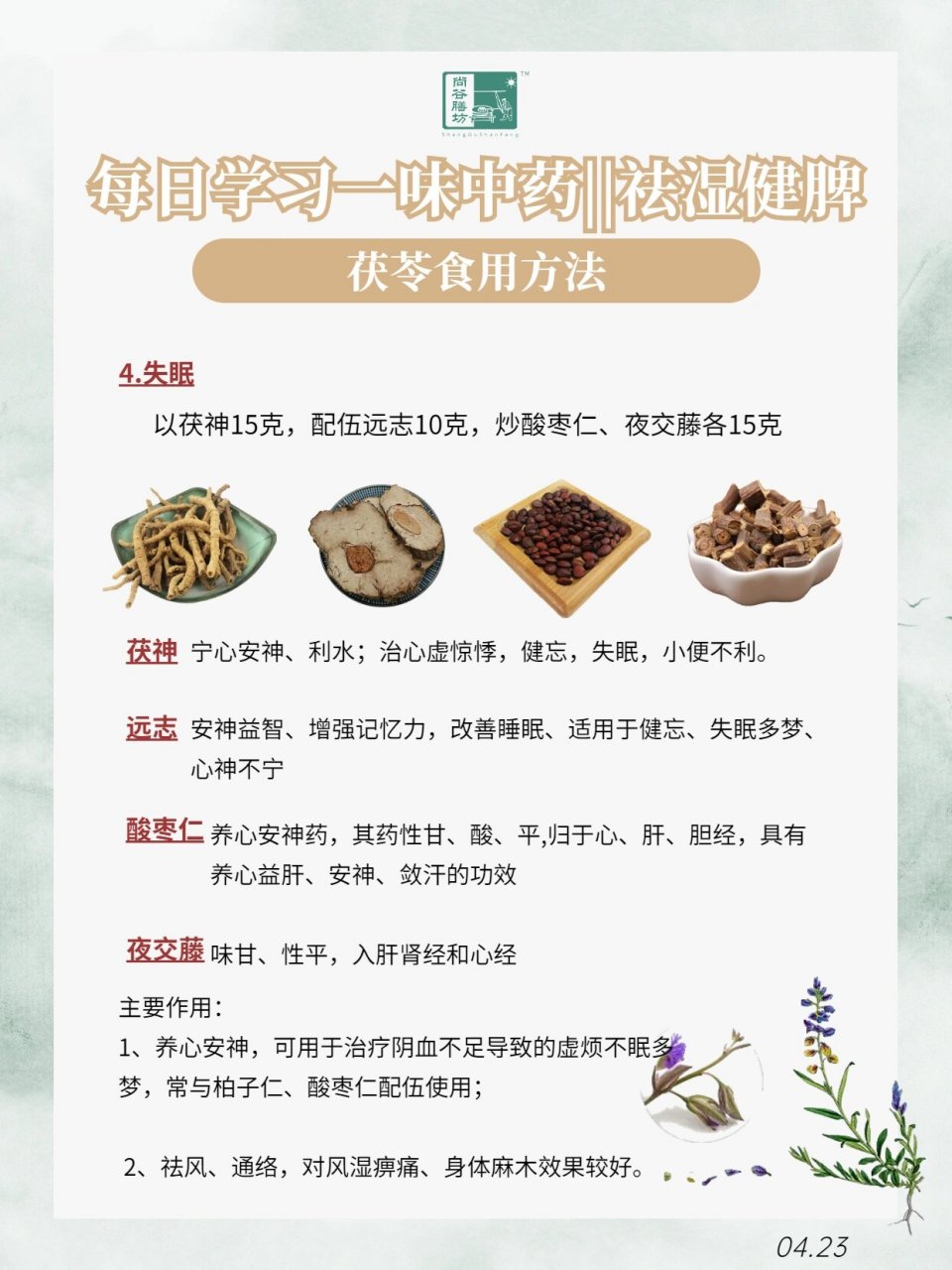 茯苓归经图片