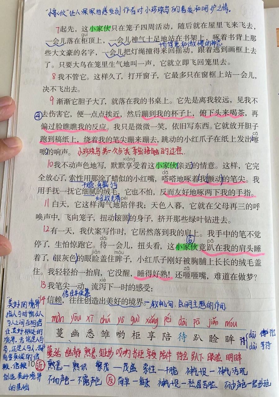 部编版小学语文五年级上册课文4《珍珠鸟》超详细课文笔记!