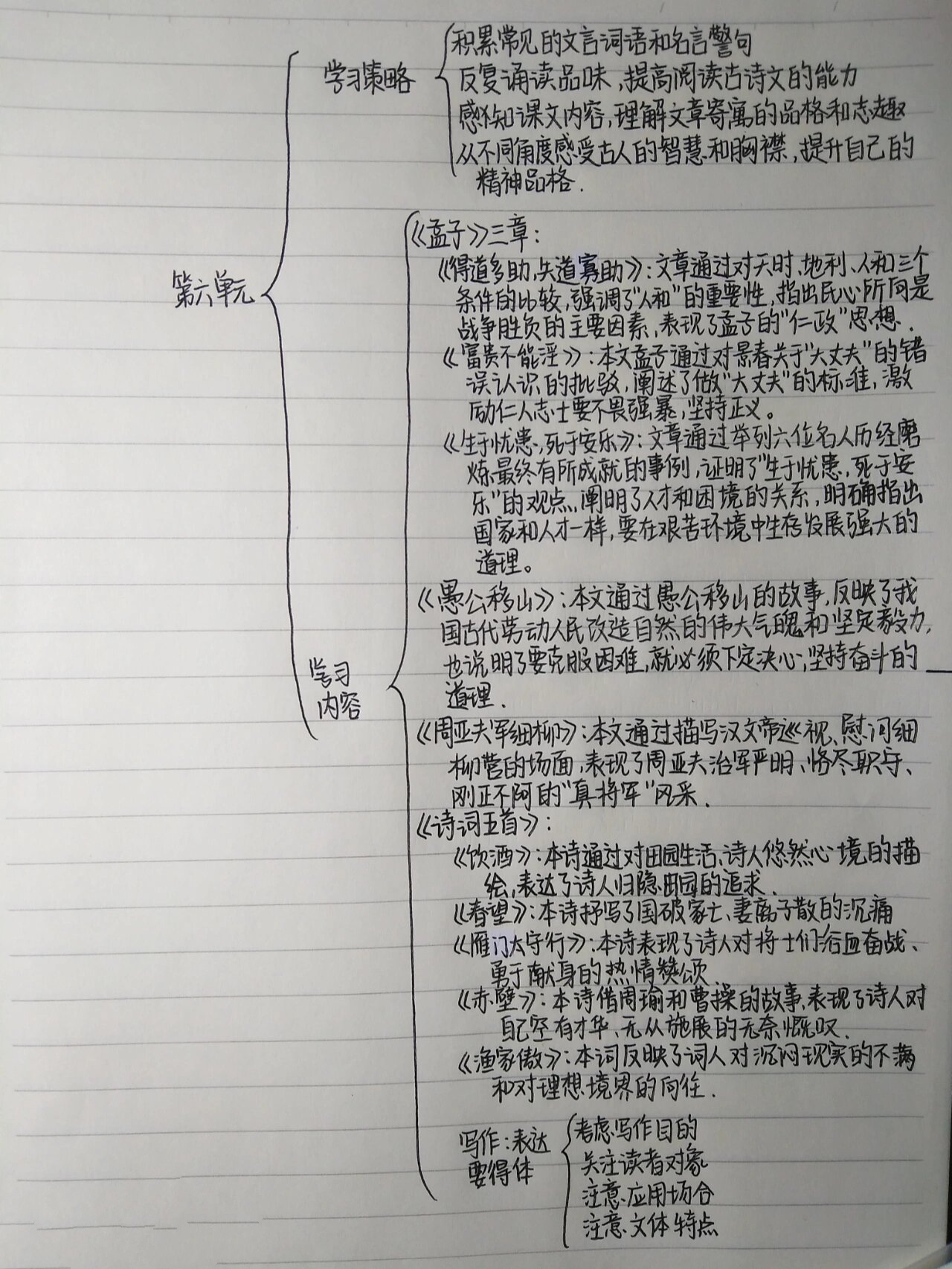 八上语文第六单元思维导图