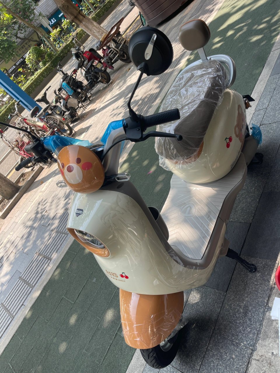 台铃电动车初恋你们买多少钱呀 下定两天,老板帮我拿10月9号出厂的车