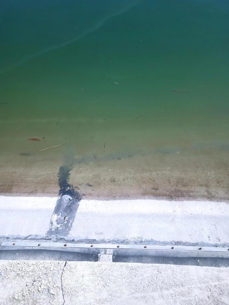 细的小鱼成群结队的游来游去,数量还不少呢,看不清这是条子鱼还是啥鱼