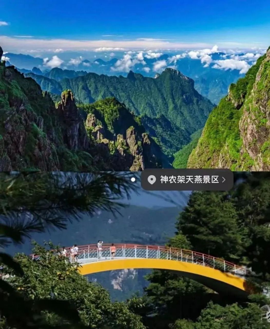 丛林穿越,喂麋鹿,彩虹桥等(每周三|周六发班)  神农架天池 天燕景区带