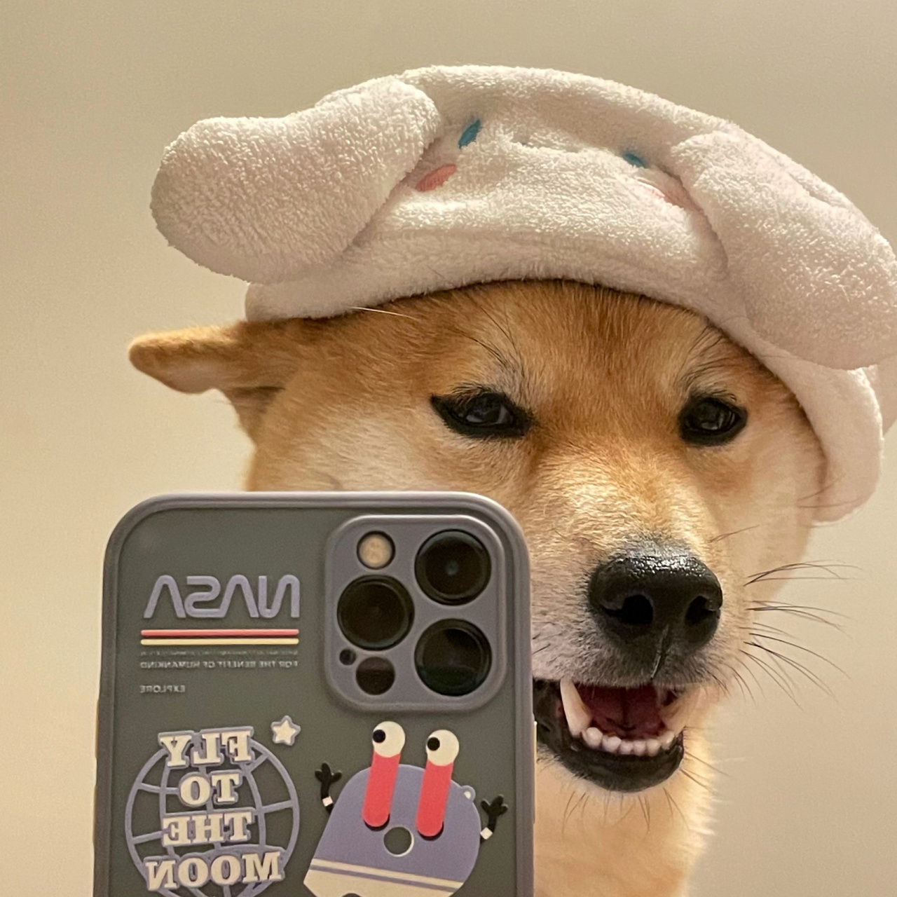 狗狗的自拍到底有多可爱 柴犬头像 柴犬表情包 三丽鸥玉桂狗