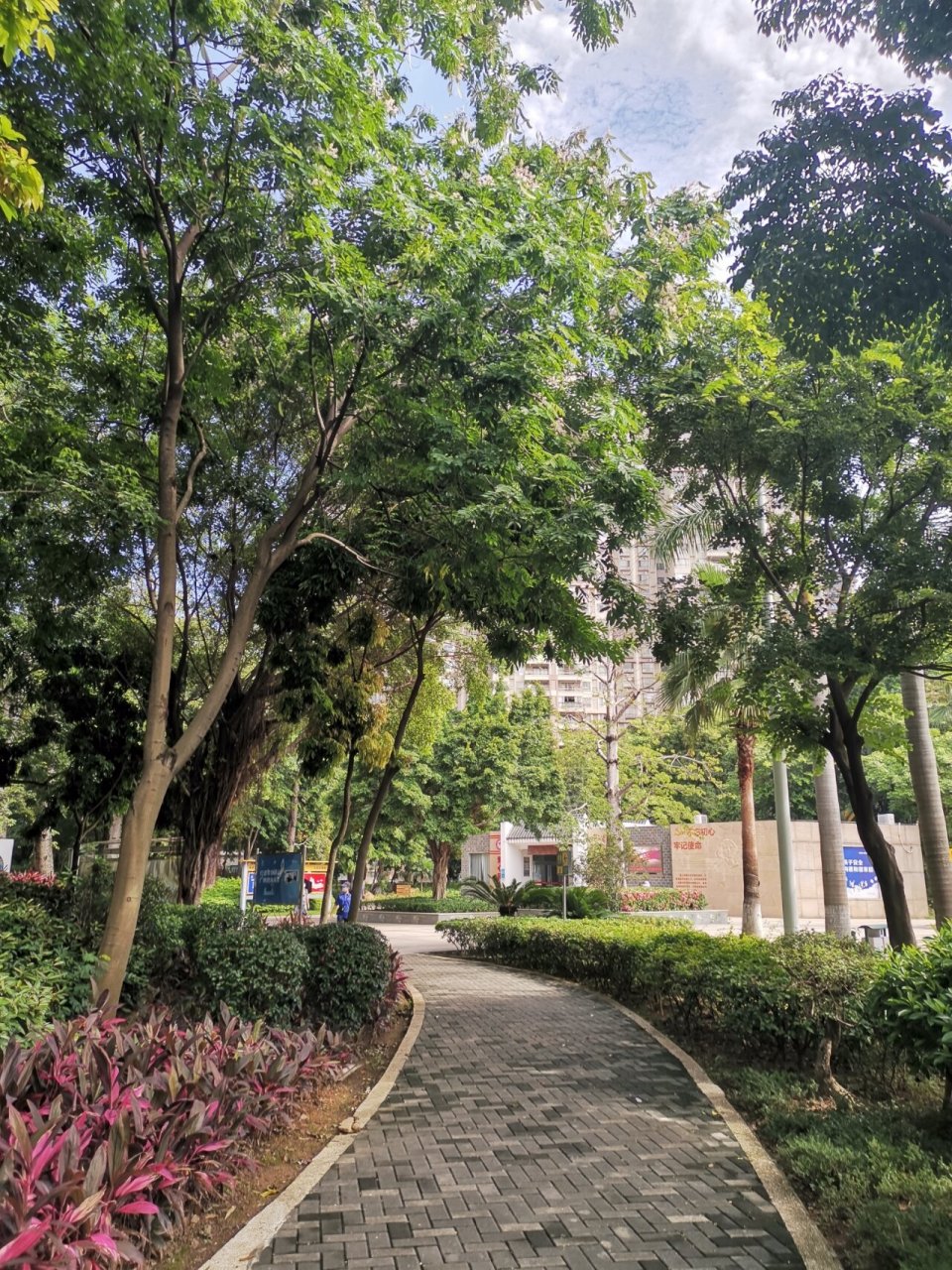 清远周末旅行93向秀丽公园 多年未来了,变化好大.