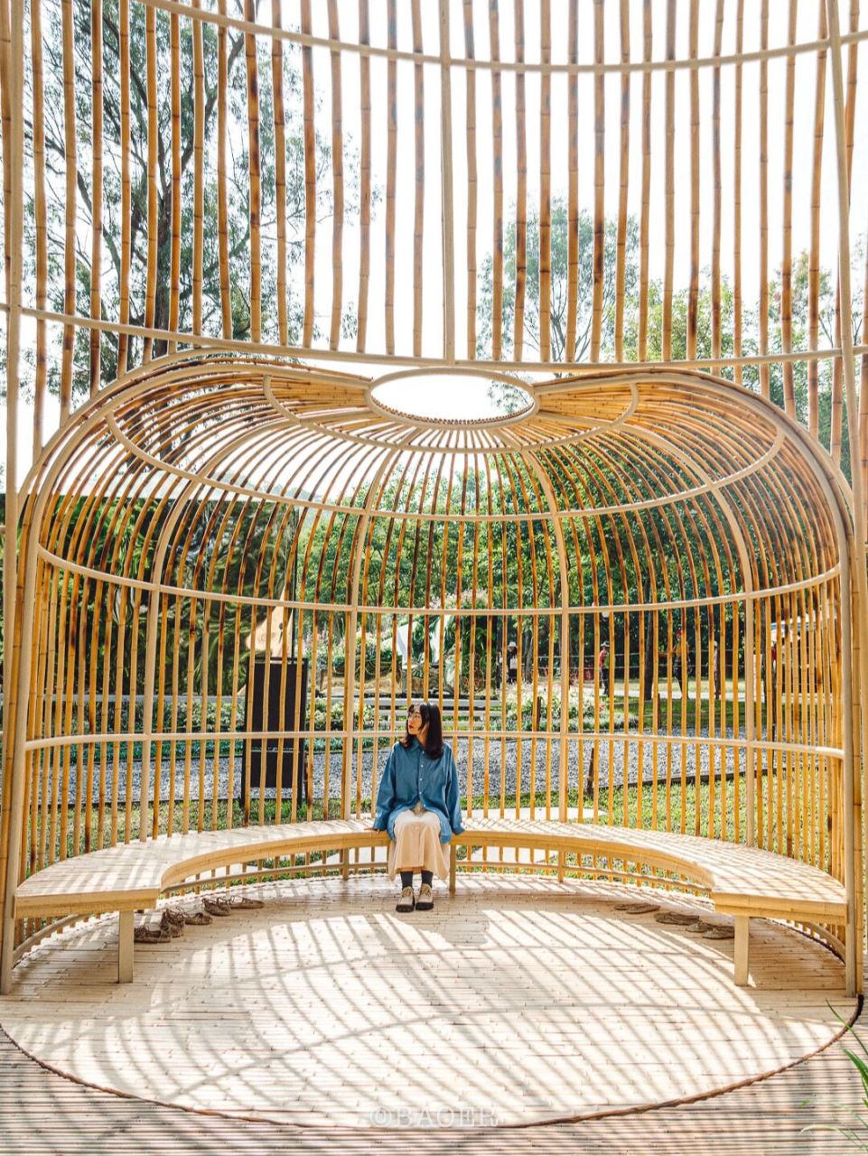 深圳2021年度花展61莲花山公园限时20天开放 深圳2021年的簕杜鹃