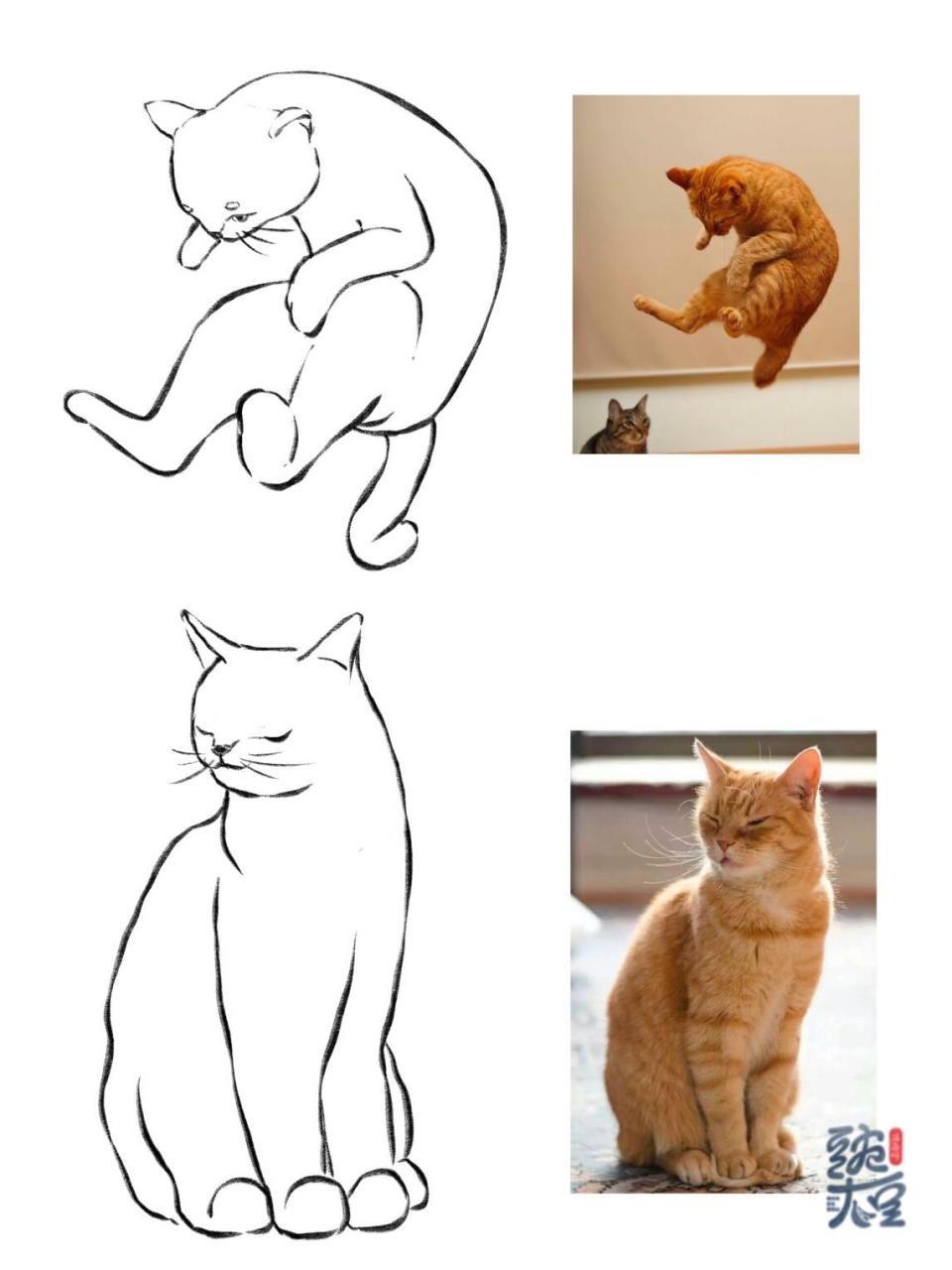 动物速写# #画猫# #画画的日常# #绘画学习# #猫# #速写