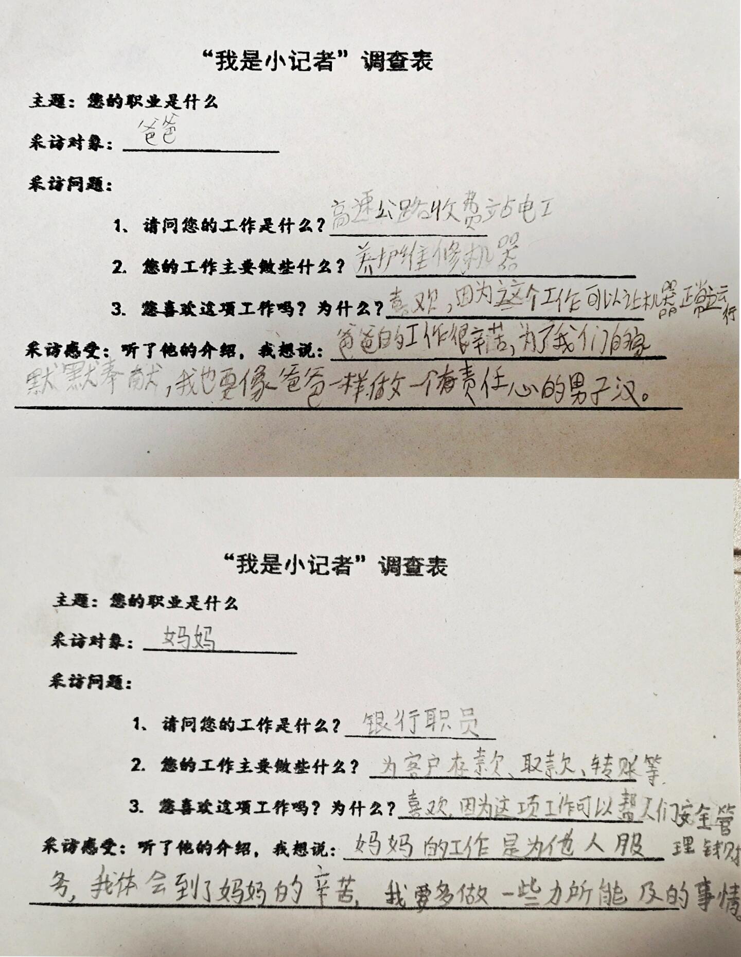 我是小记者调查表