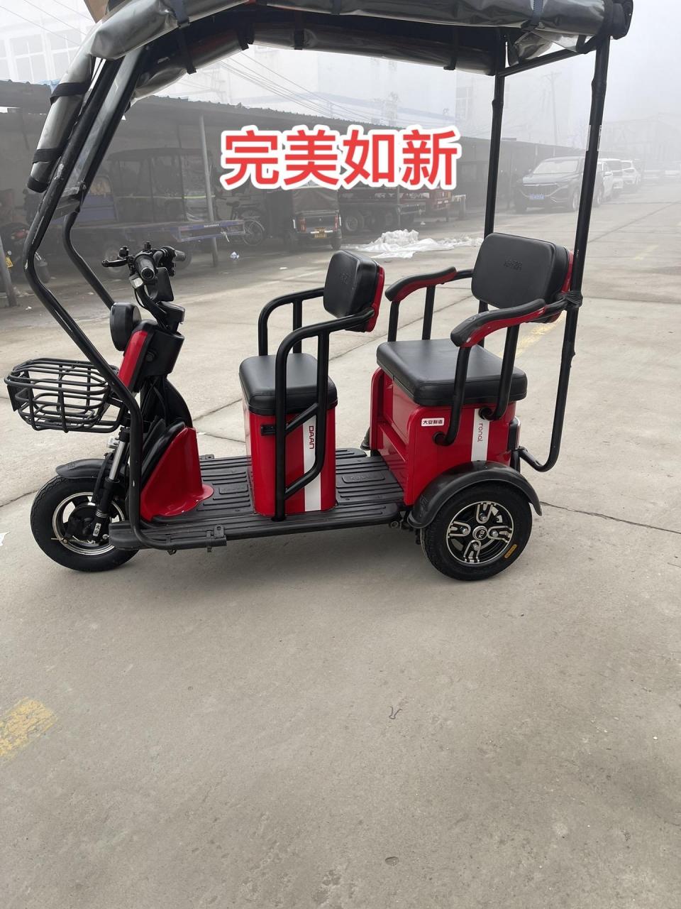 休闲三轮.大安罗纳多,五块电池,完美如新,大精品