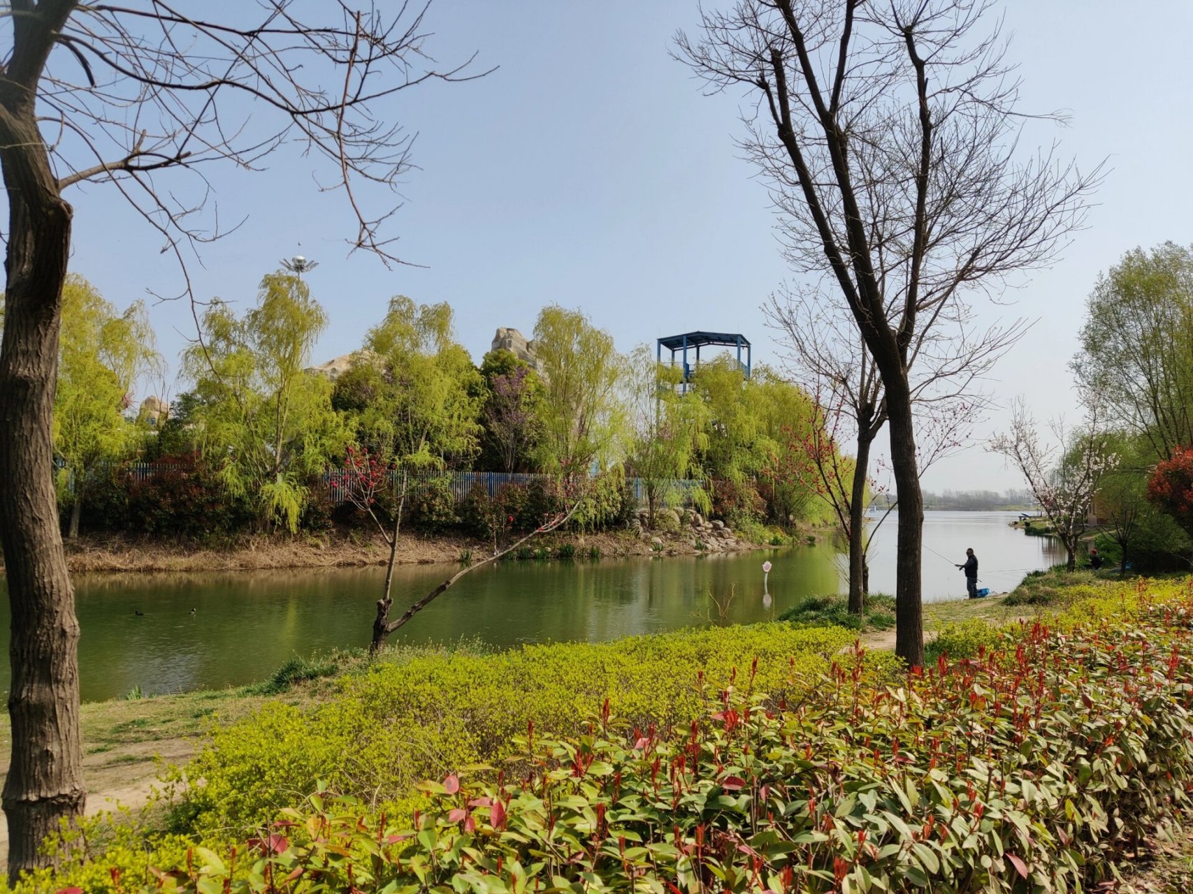 许昌秋湖湿地图片