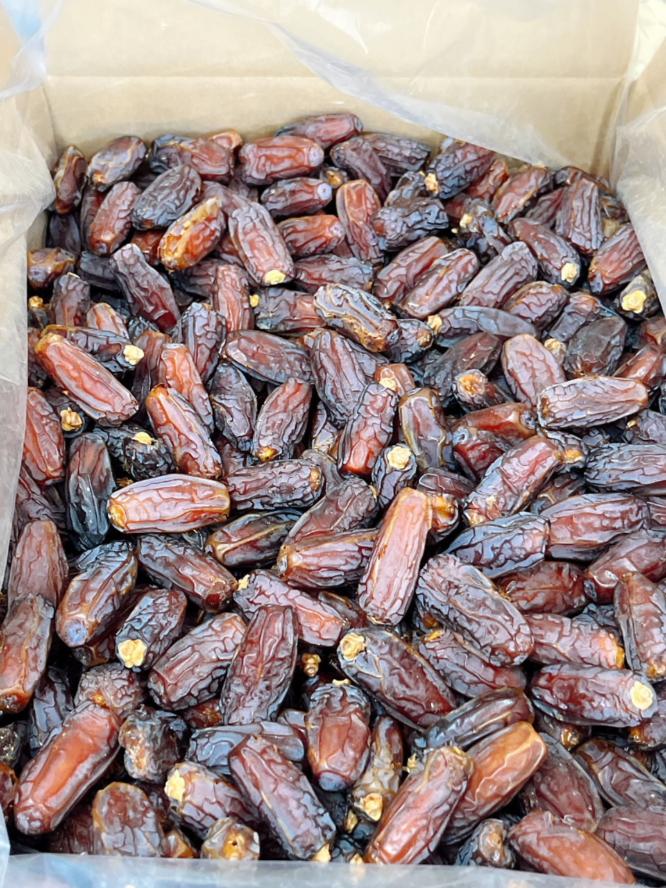 迪拜椰枣08 	 9969♂15中东特殊的气候和约旦河的清流,造就