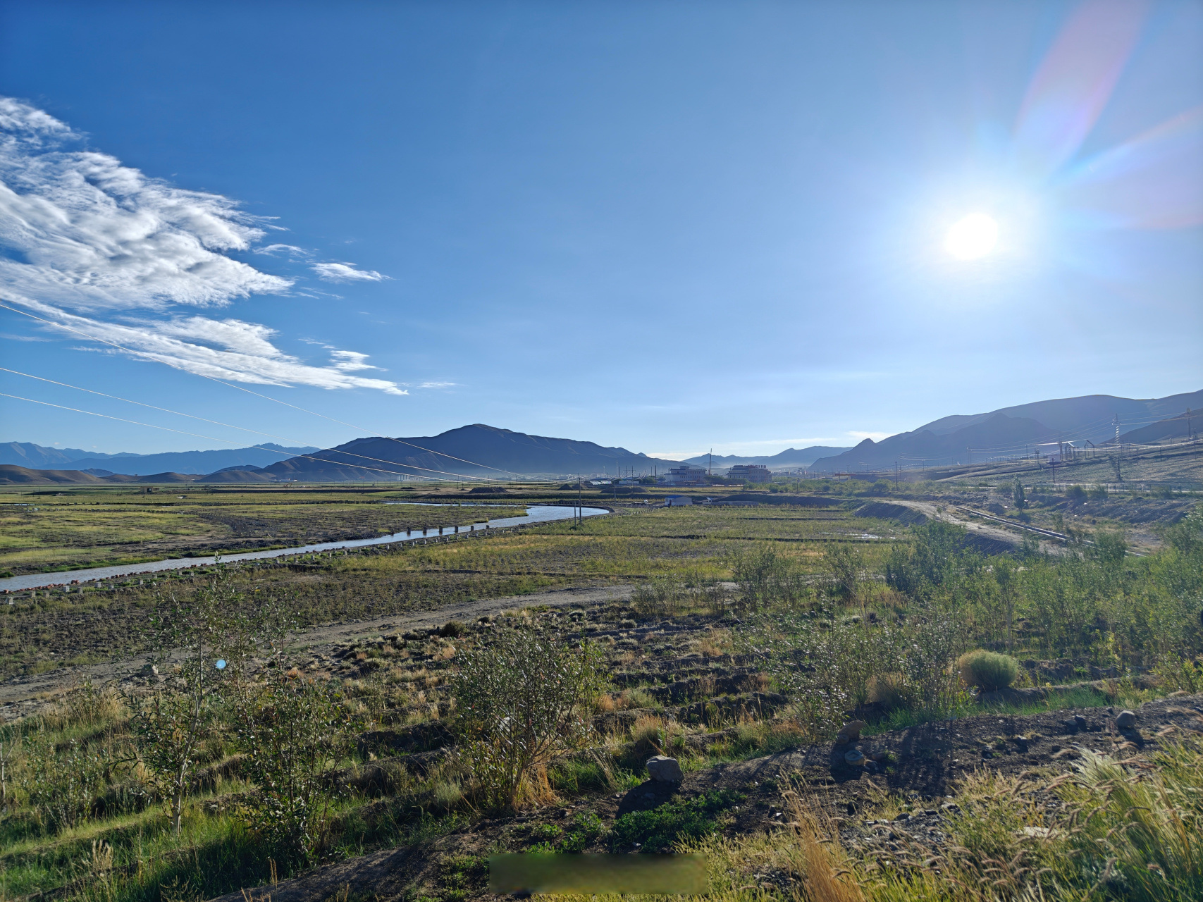红色热土高海拔之恋#日土县德汝村生态文明修复班公柳苗圃,生态修复