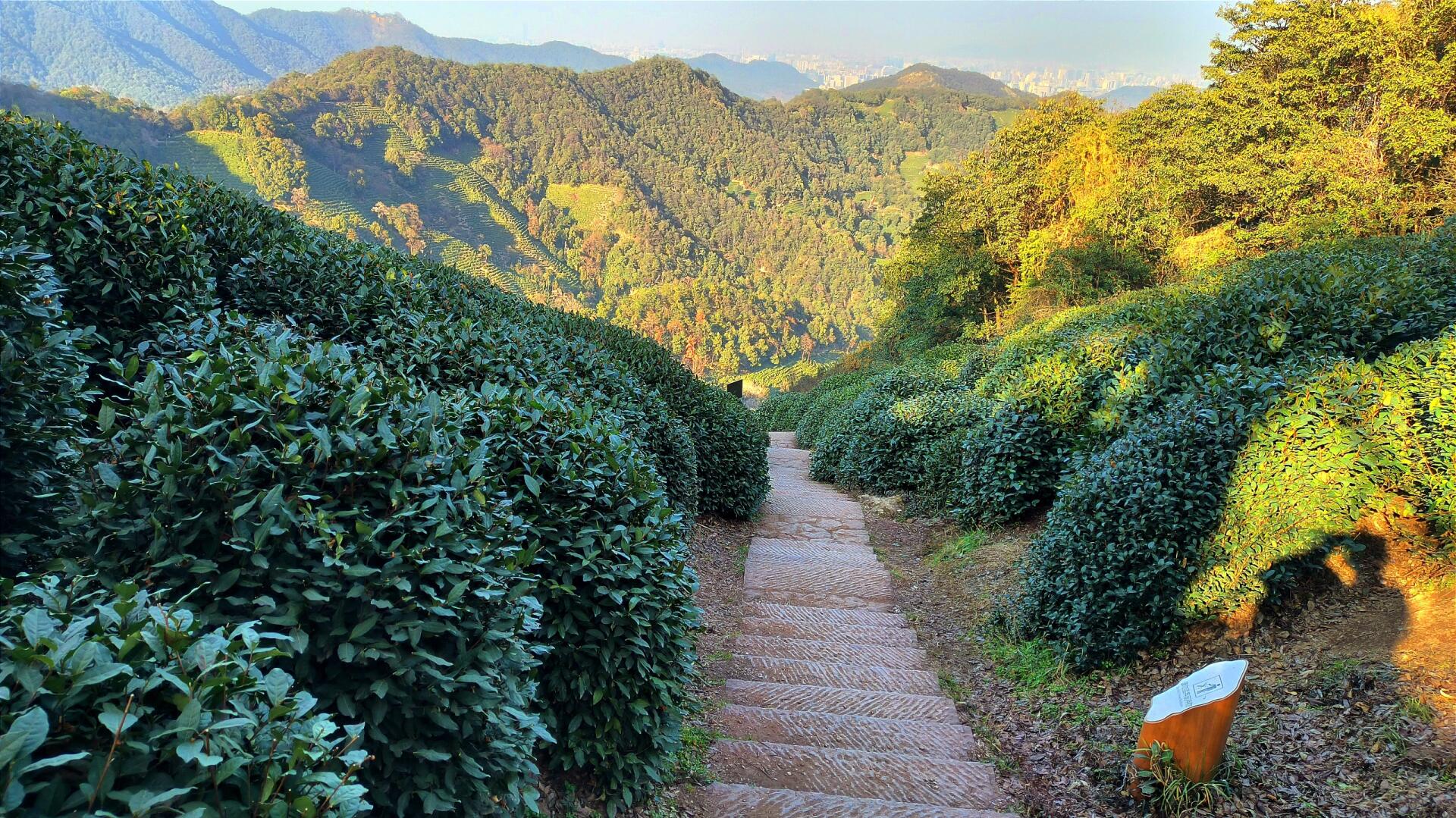 杭州 十里琅珰 龙井村 九溪十八涧 徒步路线