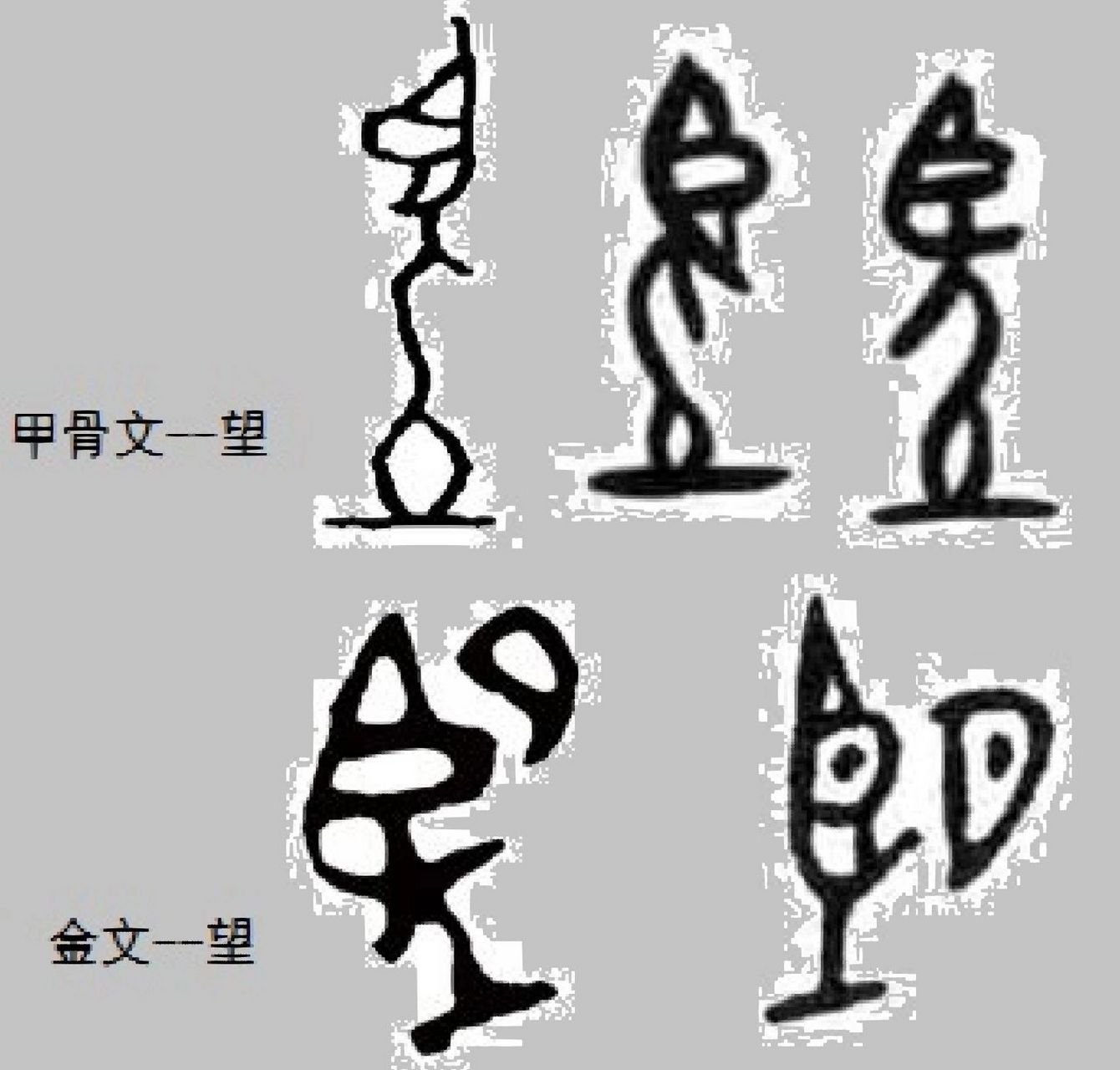 其实在造字初期的甲骨文中,它很像一幅表意的画,即一个人踩在高处睁大