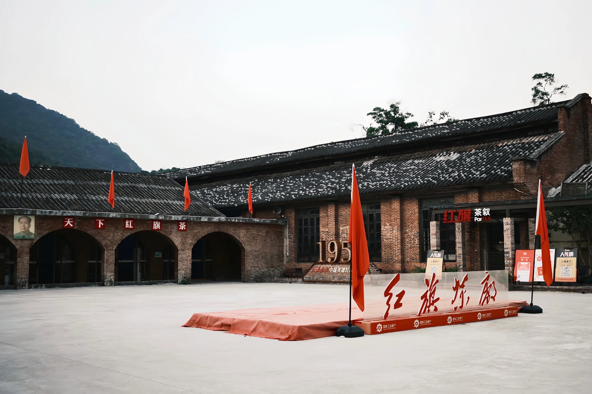 尼康z50|打卡英德红旗茶厂7115 公司团建来英德啦!