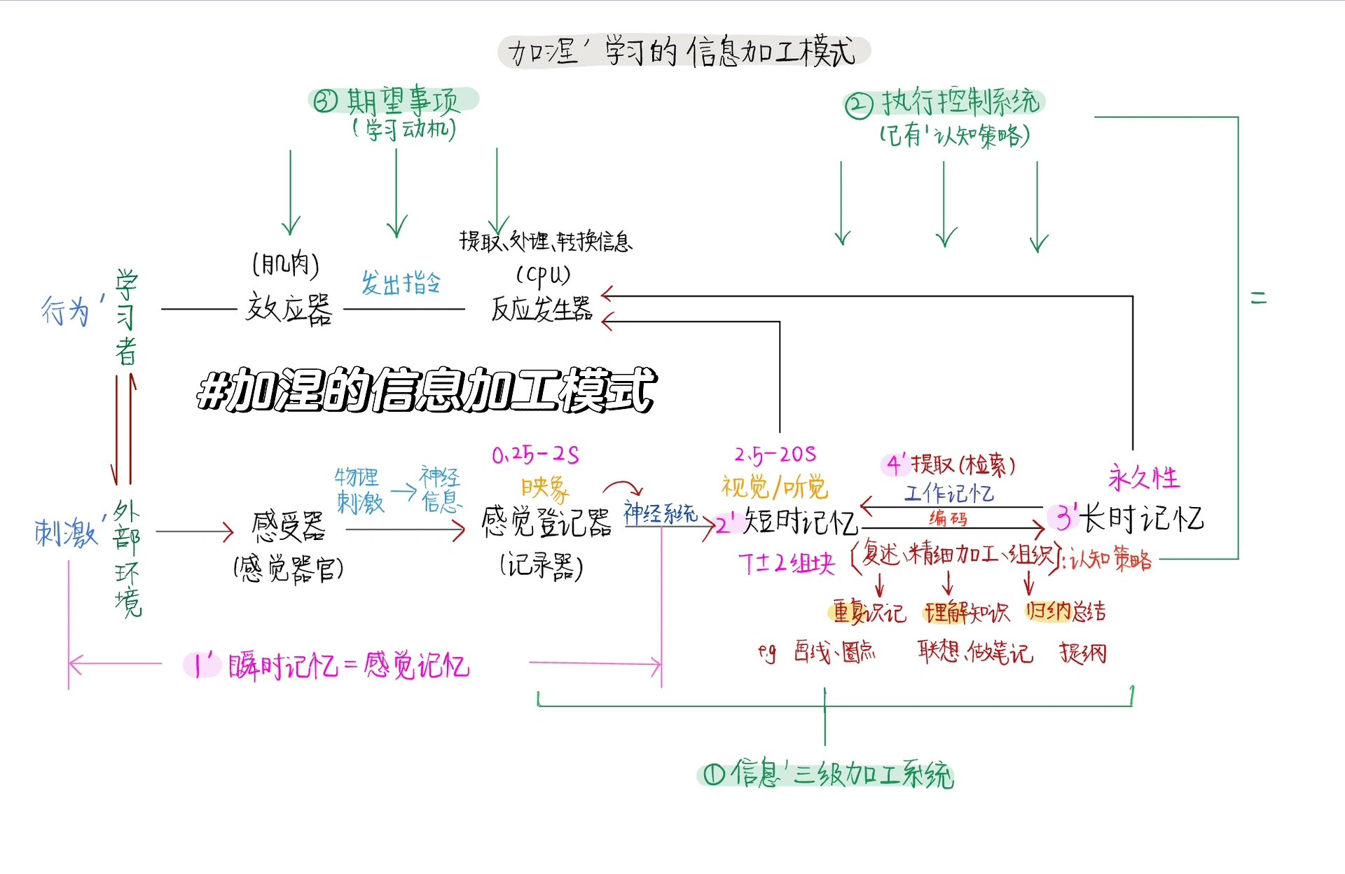 终于搞懂加涅的学习的信息加工模式啦