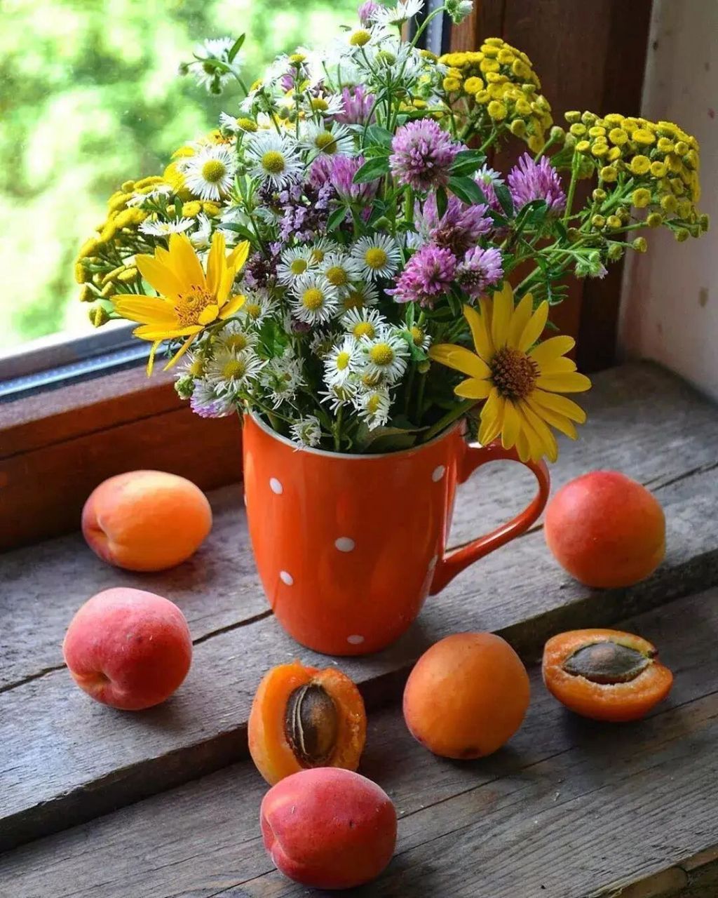 绘画素材分享 适合画画的瓶花与水果 太好看了, 忍不住囤起来