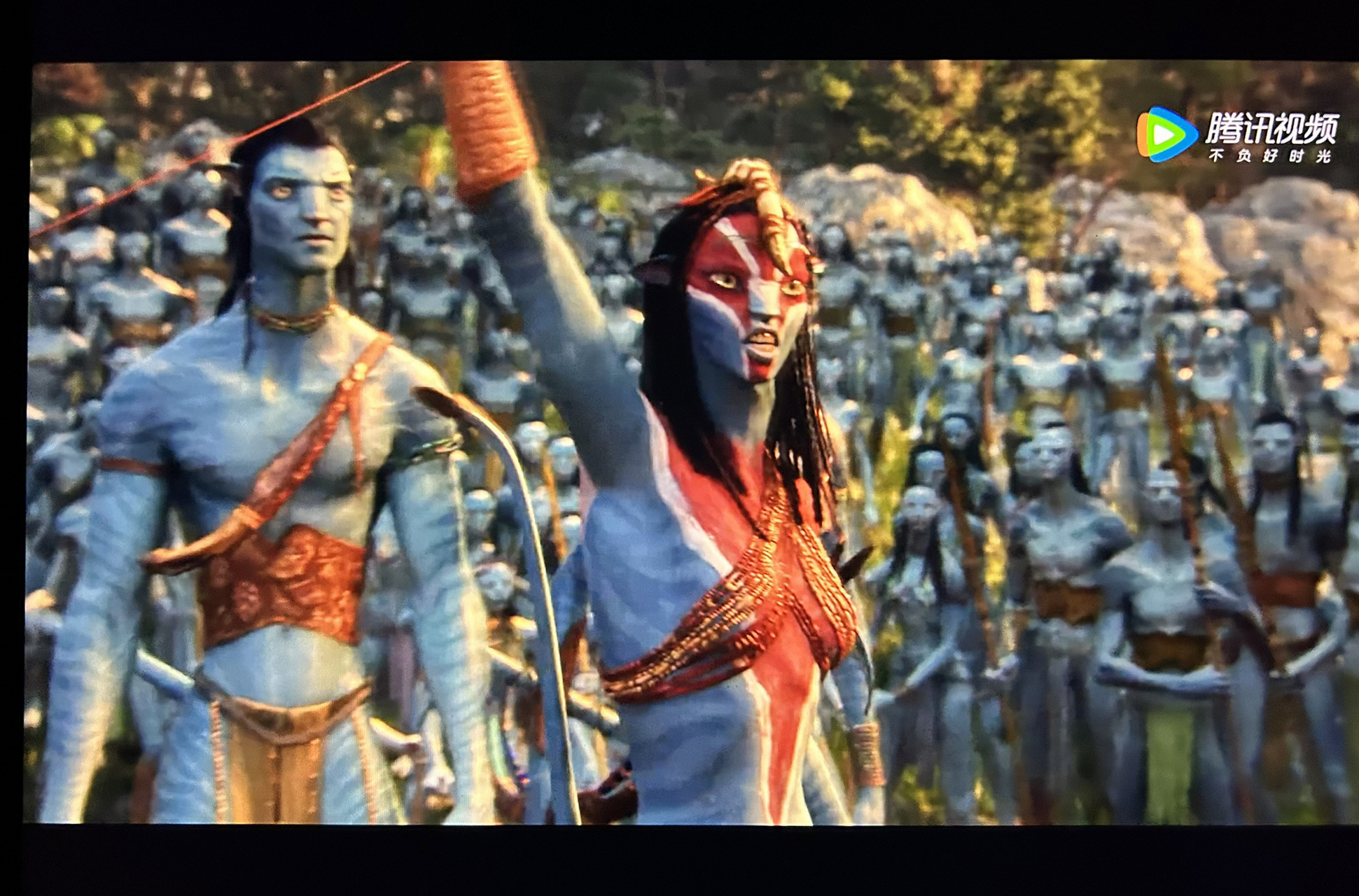 关于阿凡达突然想到一个问题: 纳威人都是用辫子和其他动物建立心灵