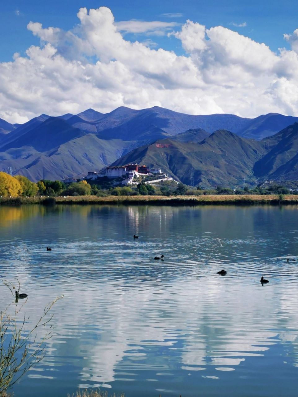 拉鲁湿地|西藏不可不去的湿地公园-你知道么 拉萨市