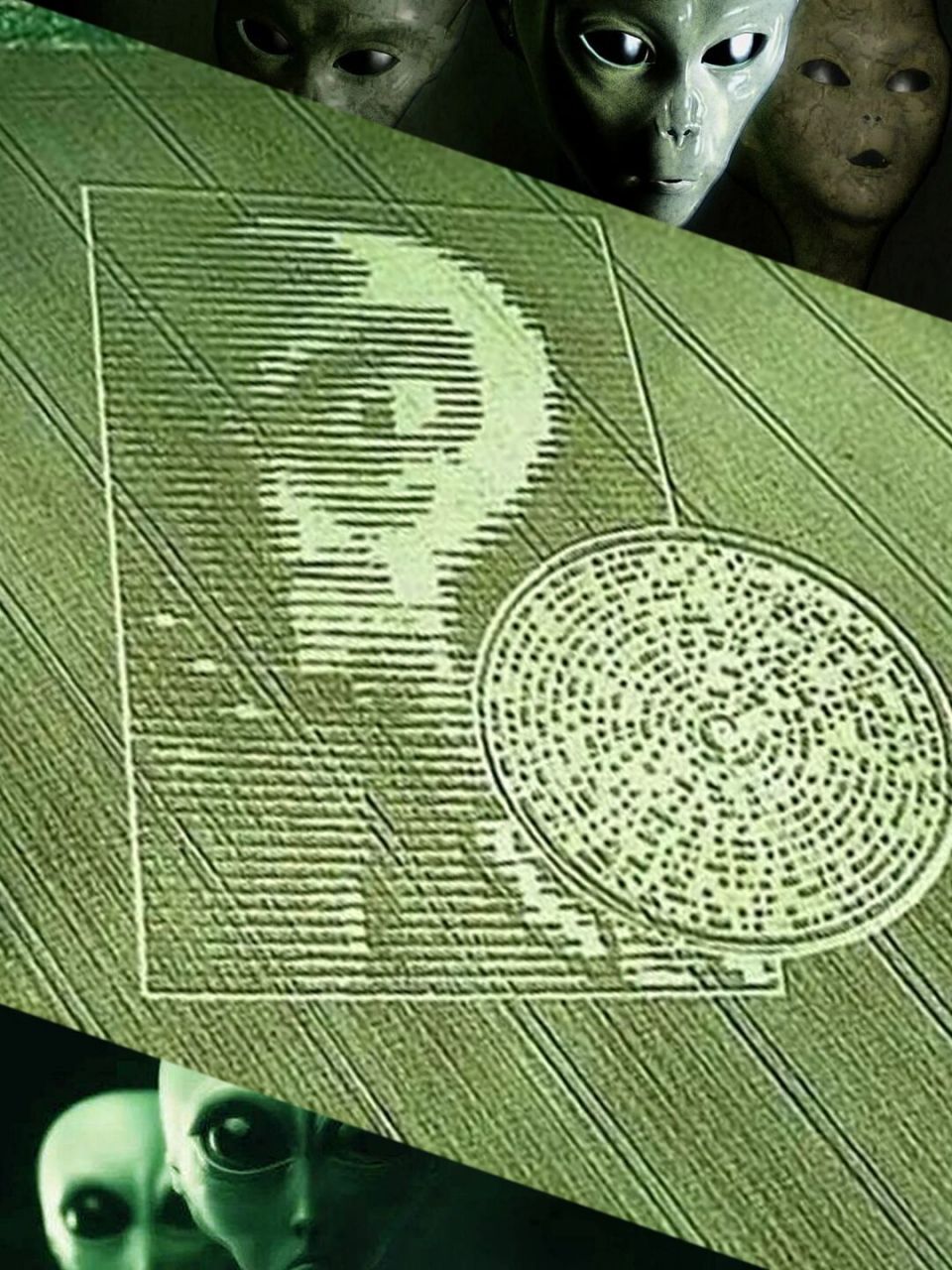 小灰人麦田圈:解码外星秘语的人在海边暴毙 2002年8月,在那个著名的