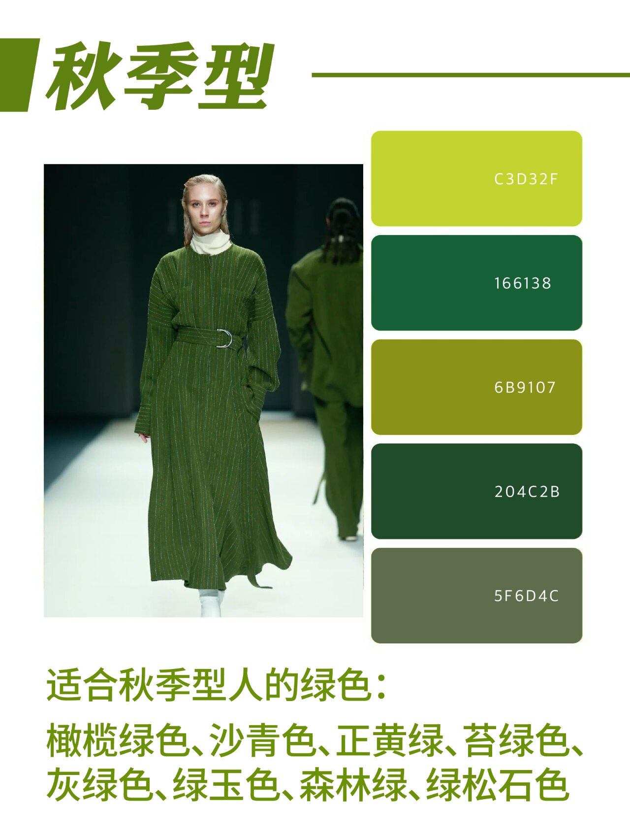 通俗的讲泛黄的绿是暖绿,泛蓝的绿为冷绿. 	 适合春季型