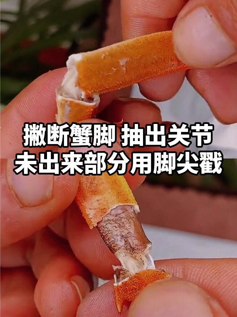 剥螃蟹的方法图解图片