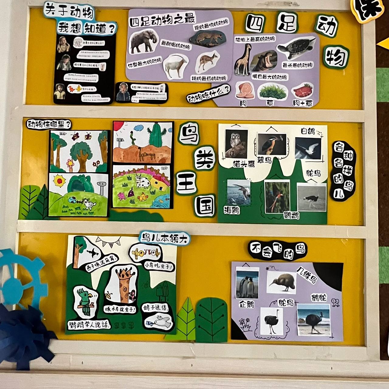 我的动物朋友 主题墙创设 四足动物 鸟类王国 海洋生物 保护动物