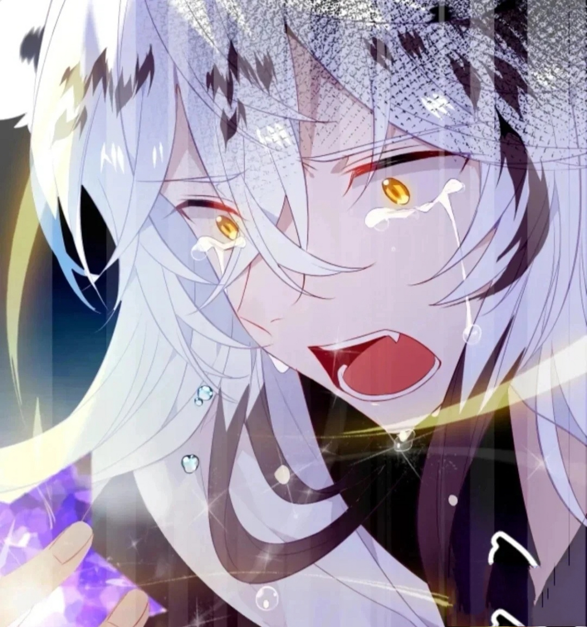 吾凰在上壁纸/头像 终究,白虎动了情 小白&小希 昨天因为有些宝贝们