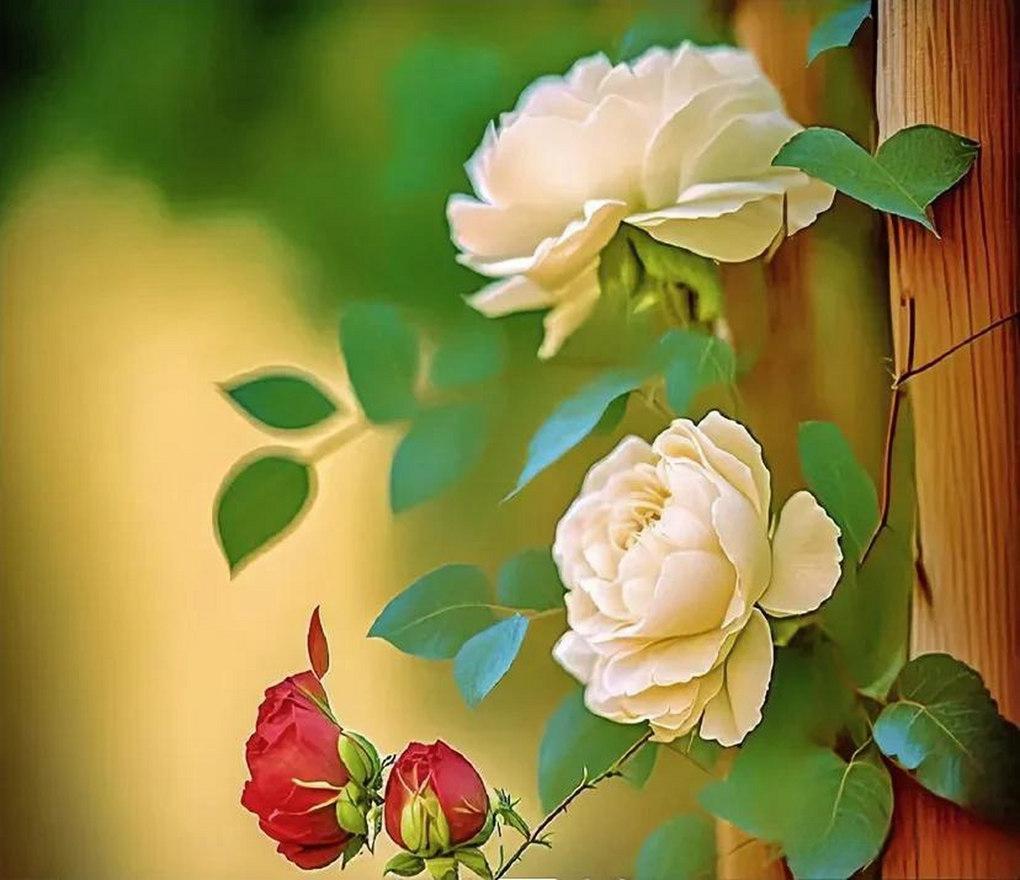 世事无常,人事变迁,有太多的纷纷扰扰.