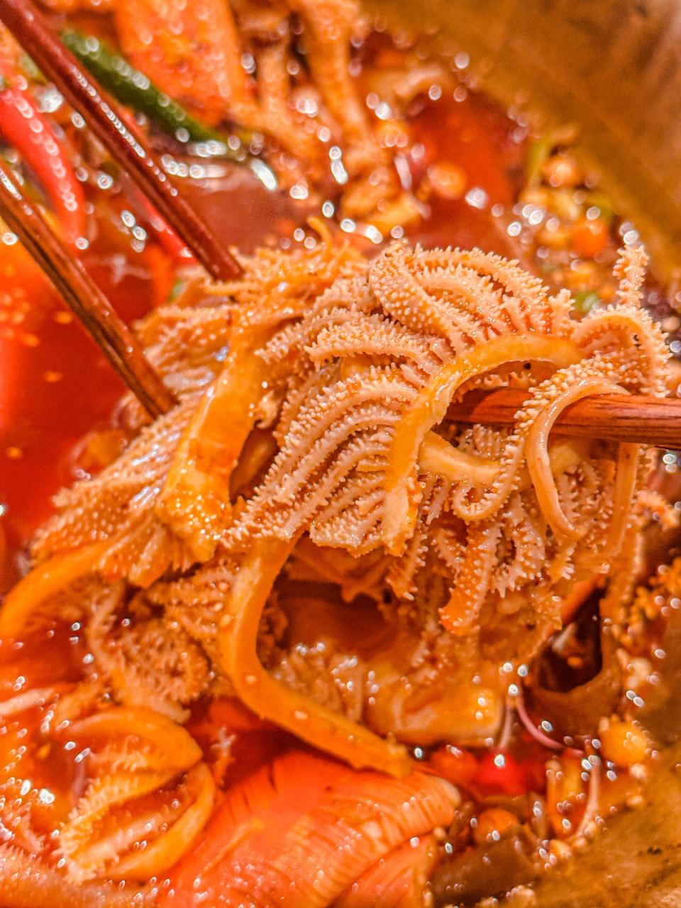 一整锅都是料,新西兰9991原包毛肚和千层肚,成年人才做选择题