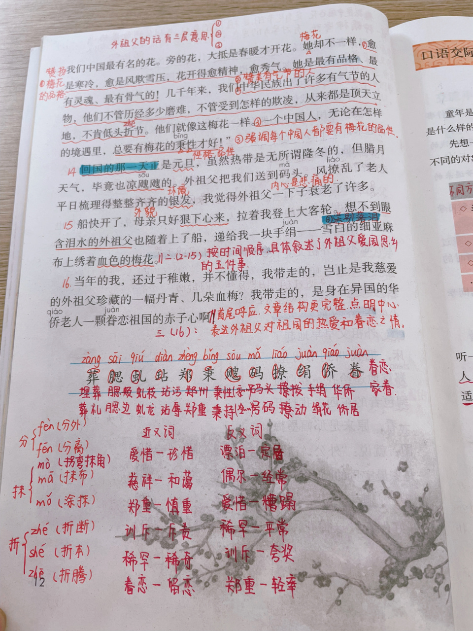 五下语文4《梅花魂》课堂笔记