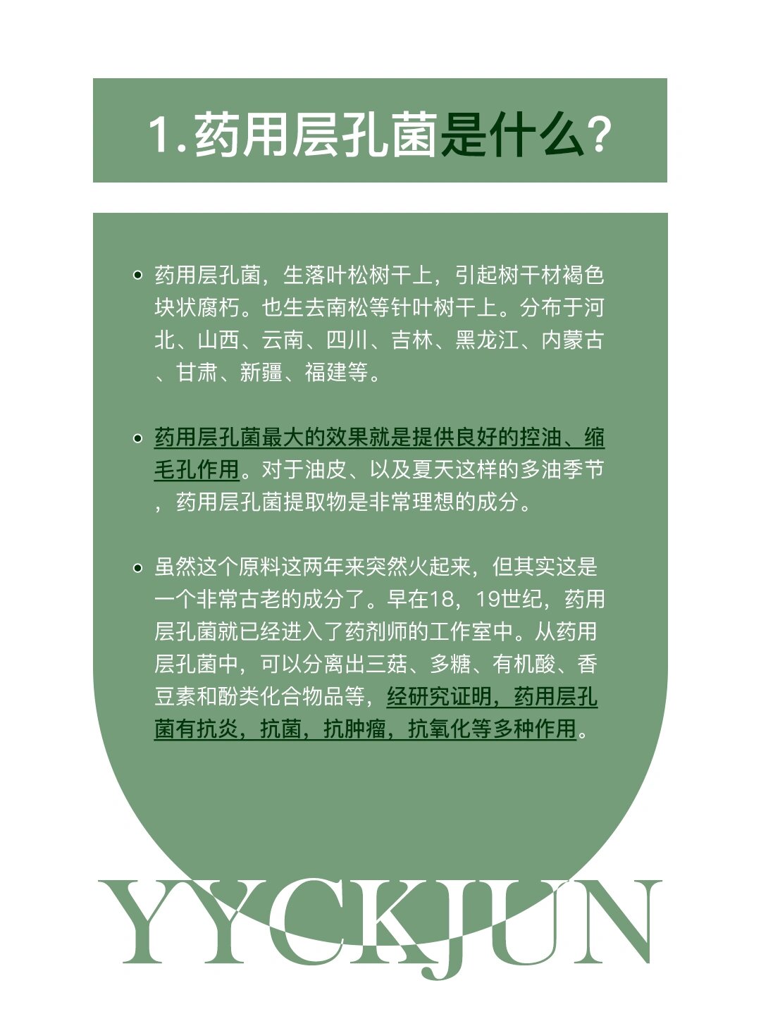 —药用层孔菌 1⃣️药用层孔菌是什么?