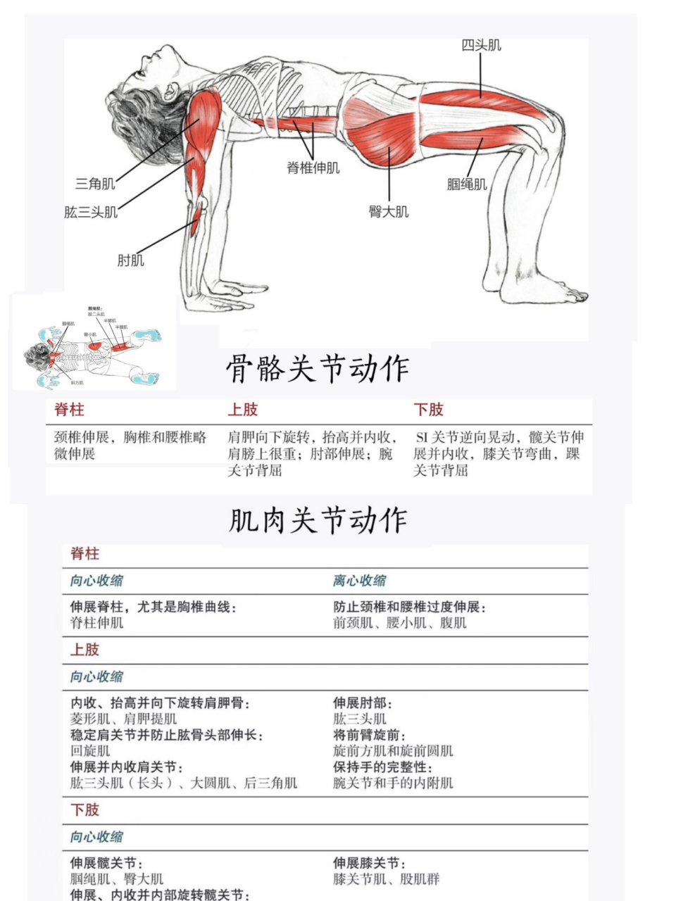 桌子式瑜伽体式讲解图片