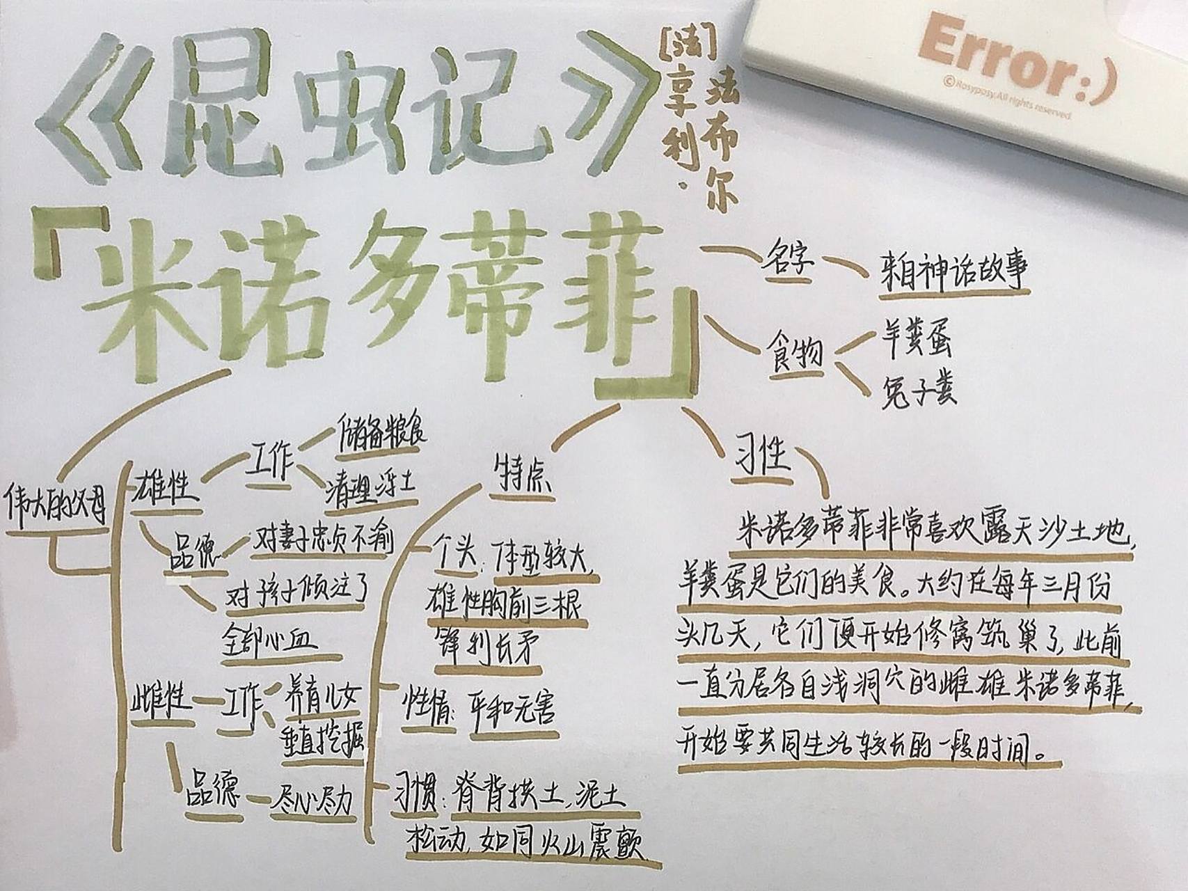 9293《昆虫记》米诺多蒂菲 思维导图
