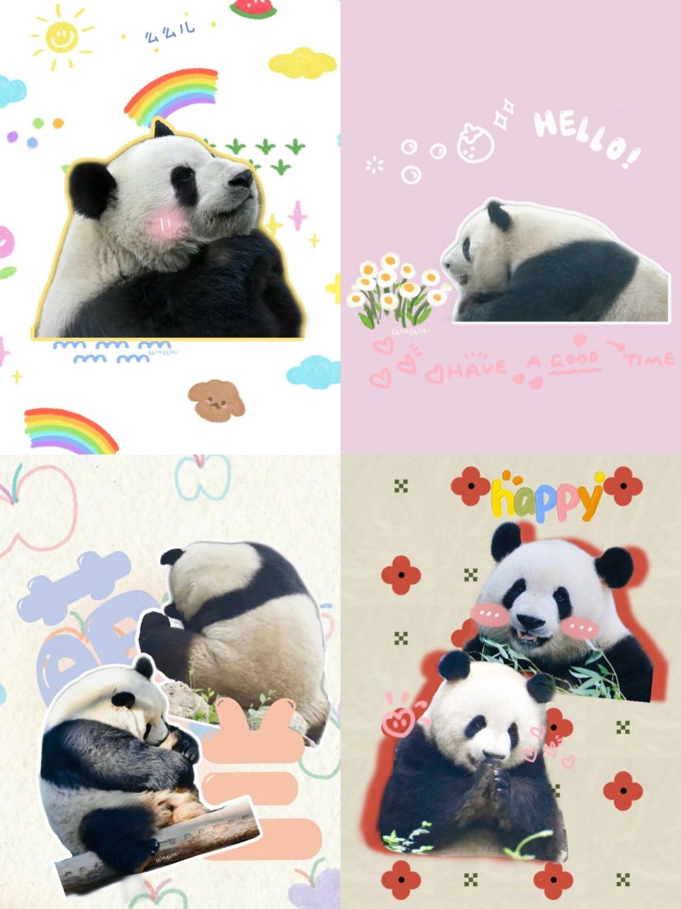 原创手机壁纸94聪明可爱的小熊精萌兰06 萌·越狱能手·胖娃儿么