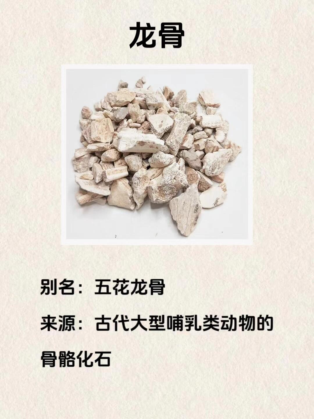 每天懂一味中药材:龙骨