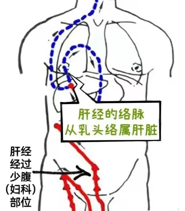 胸上九条经络图图片