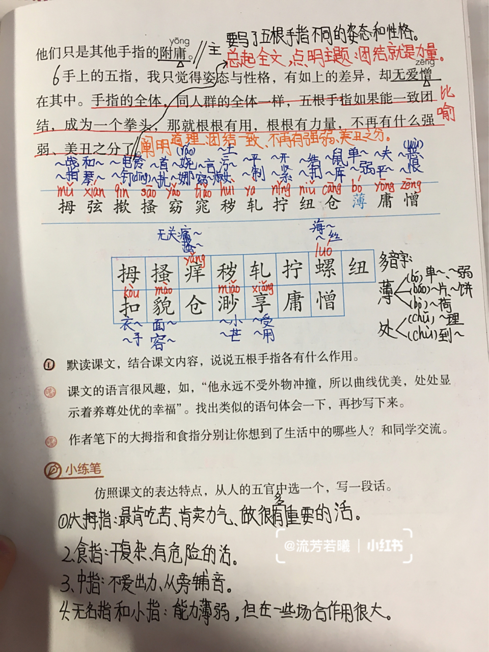 五年级下册第22课《手指》笔记